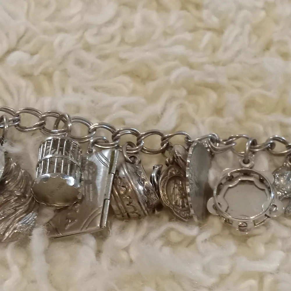 Silver Charm Bracelet - Picture 4 of 12